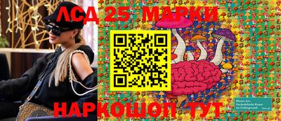 Альфа ПВП Малгобек