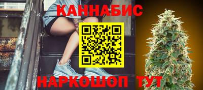 Альфа ПВП Малгобек