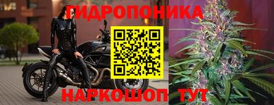 apvp Малоярославец